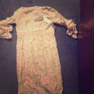 New York and Company Eva Mendes Dress